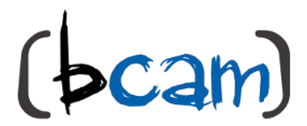 Logo bcam