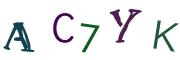 Image CAPTCHA